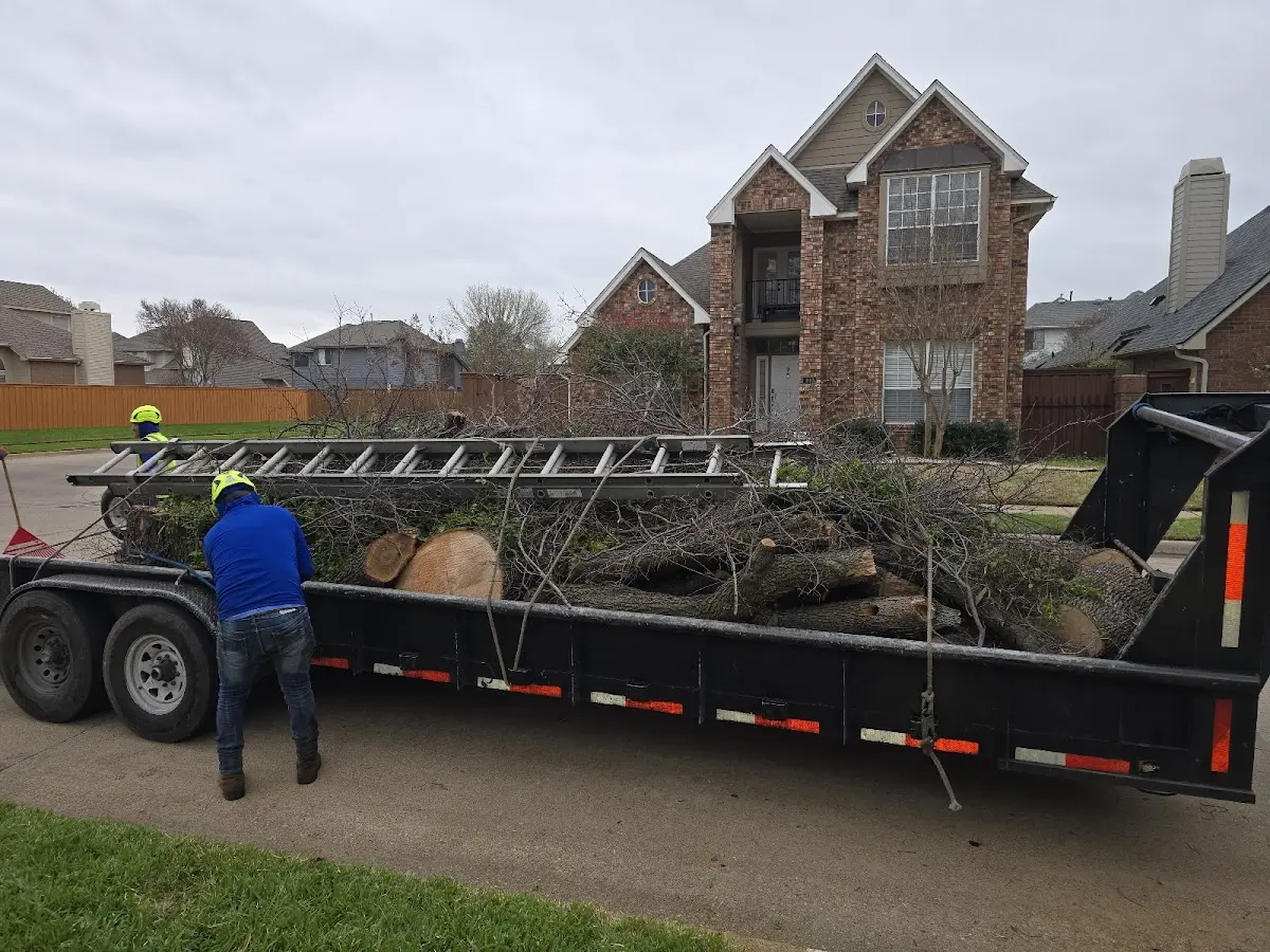 Expert Tree Fertilization with proper safety equipment in Nottoway